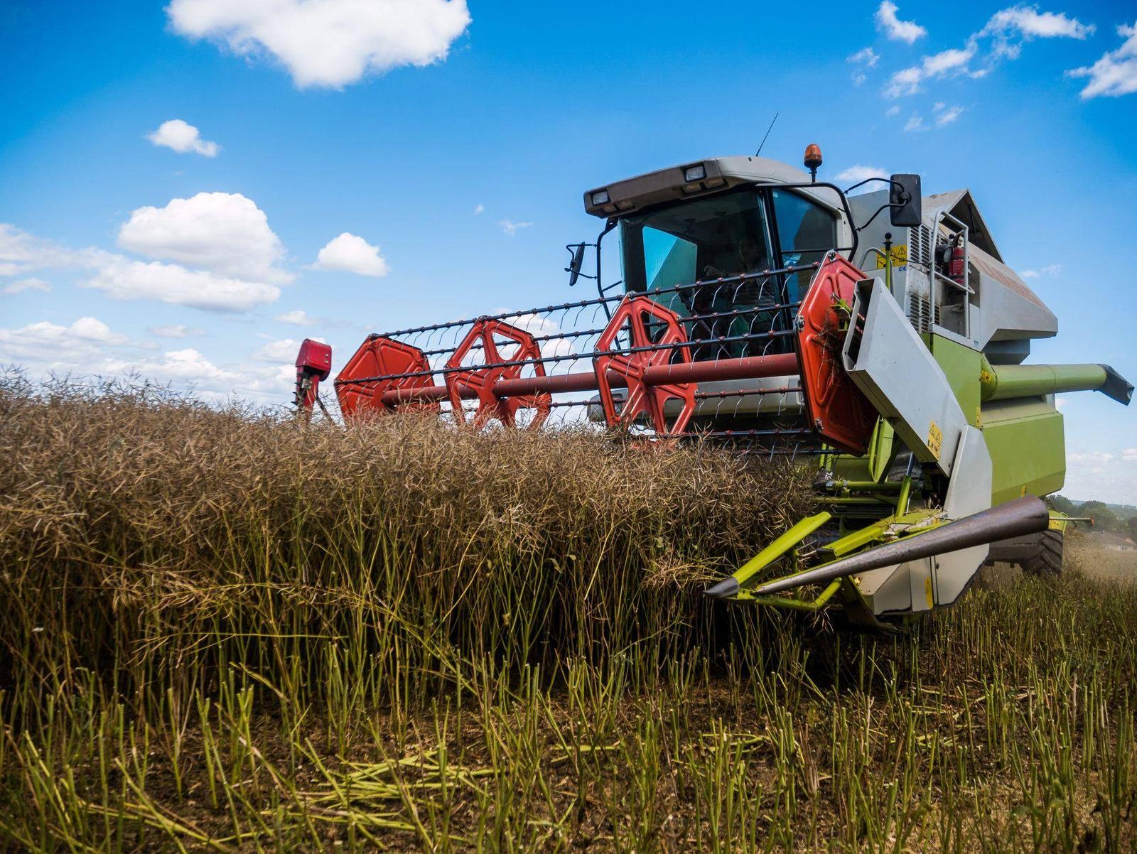 Combine harvester working a crop field
