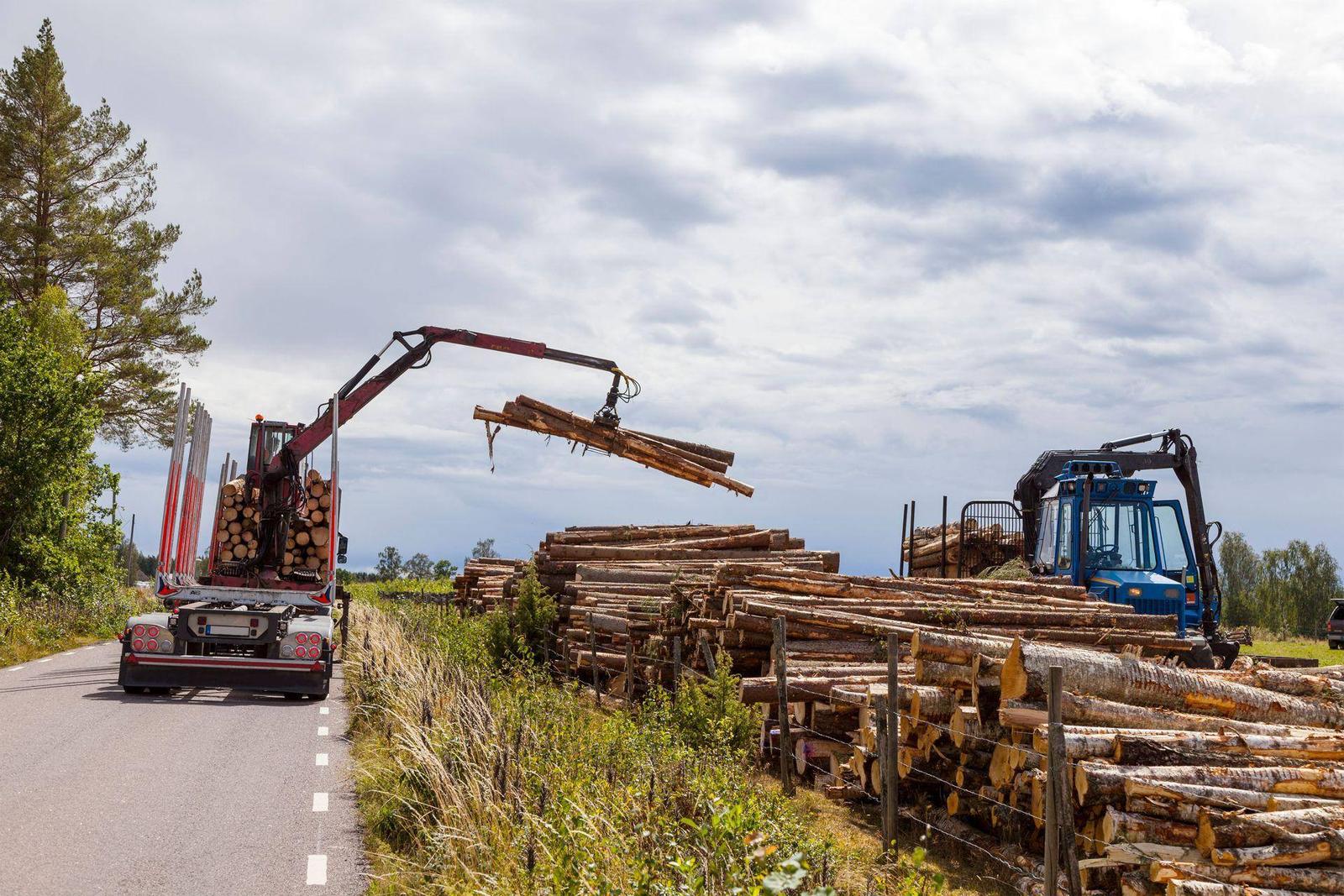 Loader handling cargo