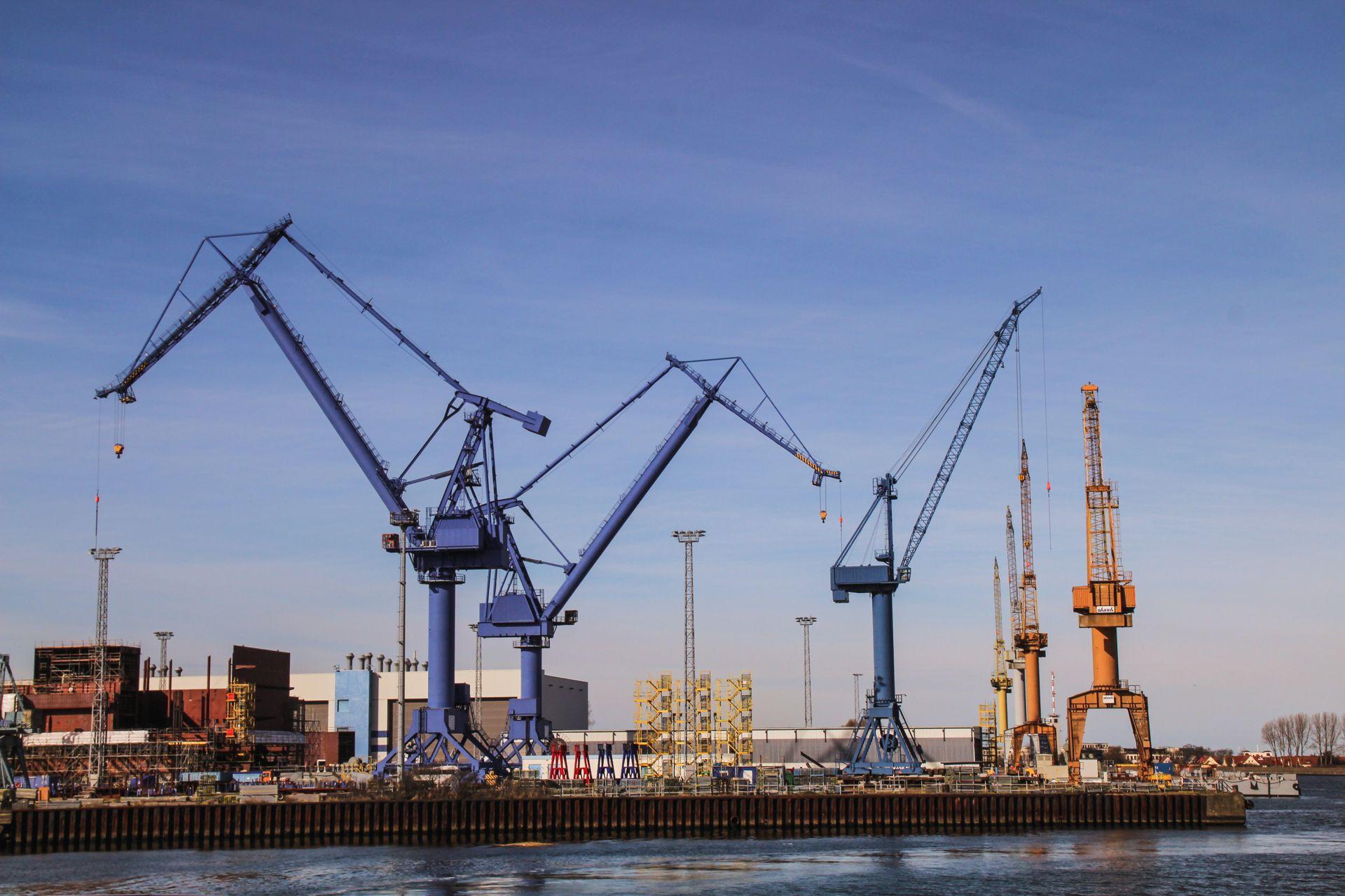 Port cranes and container stacks on a cargo terminal